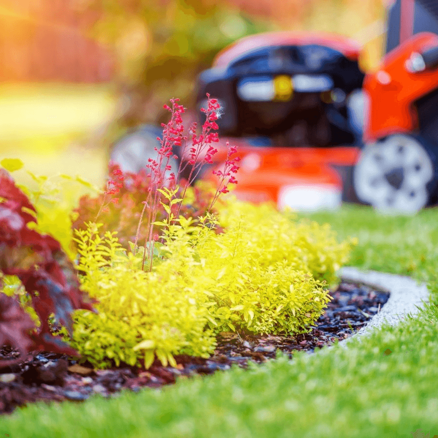 Blu Landscaping Cover Image